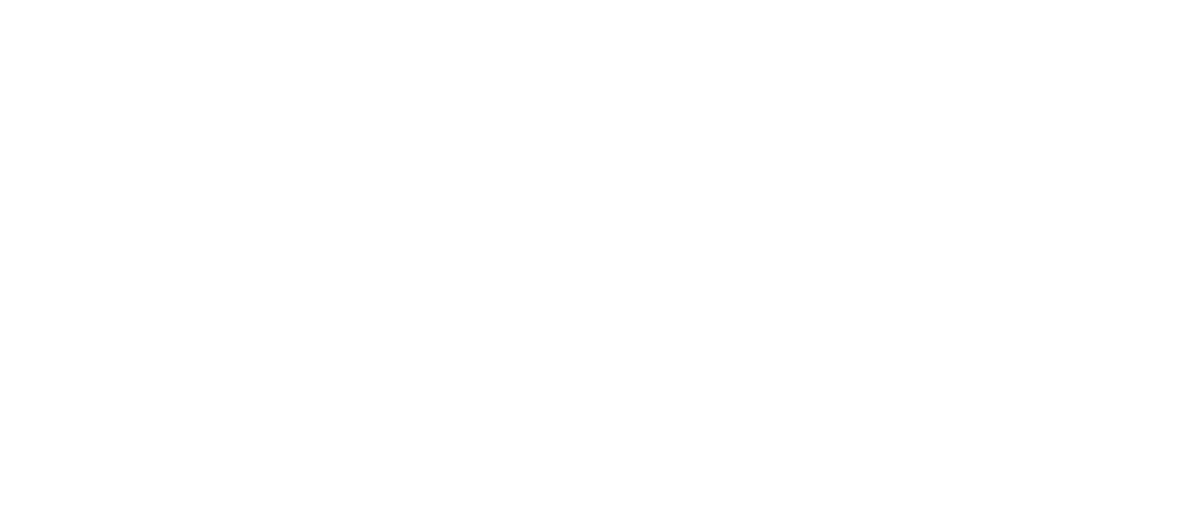 Carnegie United States